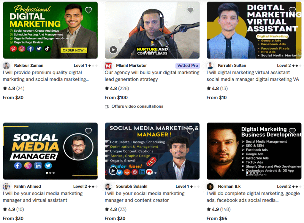 fiverr Freelance Digital Marketers for Hire