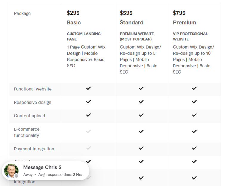 professional wix website pricing
