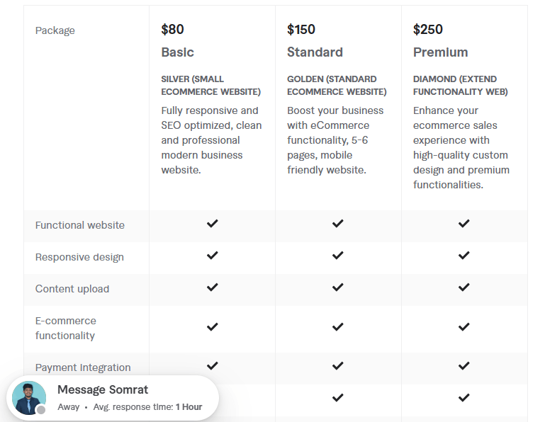 build or clone ecommerce online store pricing