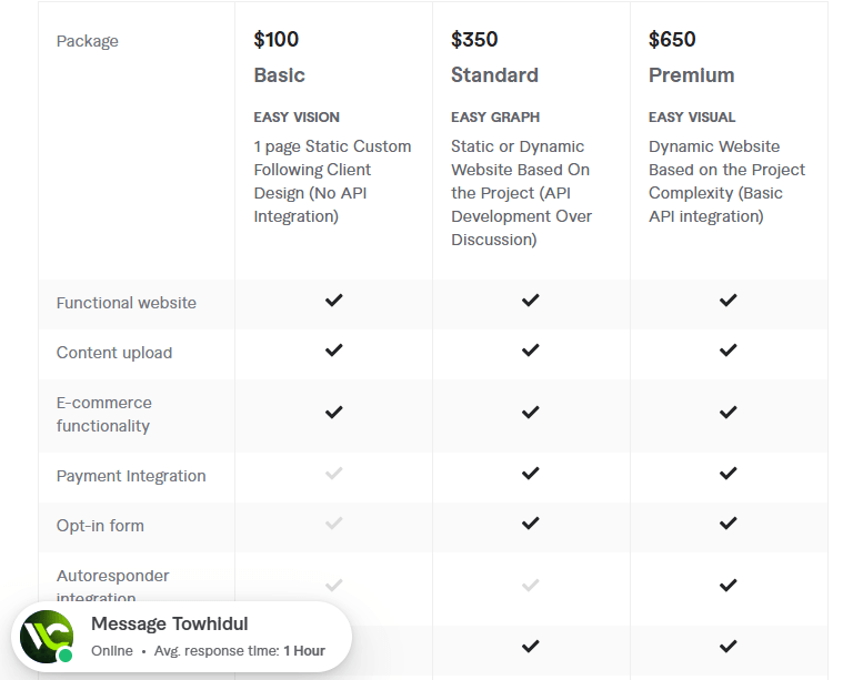 custom website development pricing