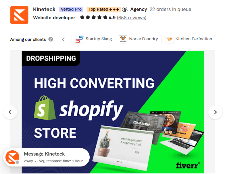 design shopify ecommerce website