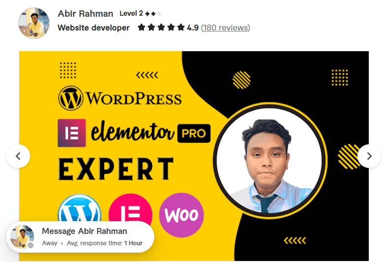 develop, clone or redesign wordpress website