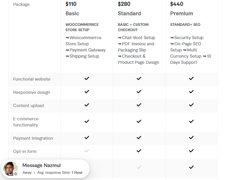 develop ecommerce website pricing