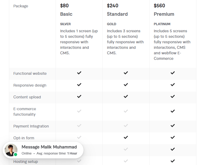 develop webflow website design pricing
