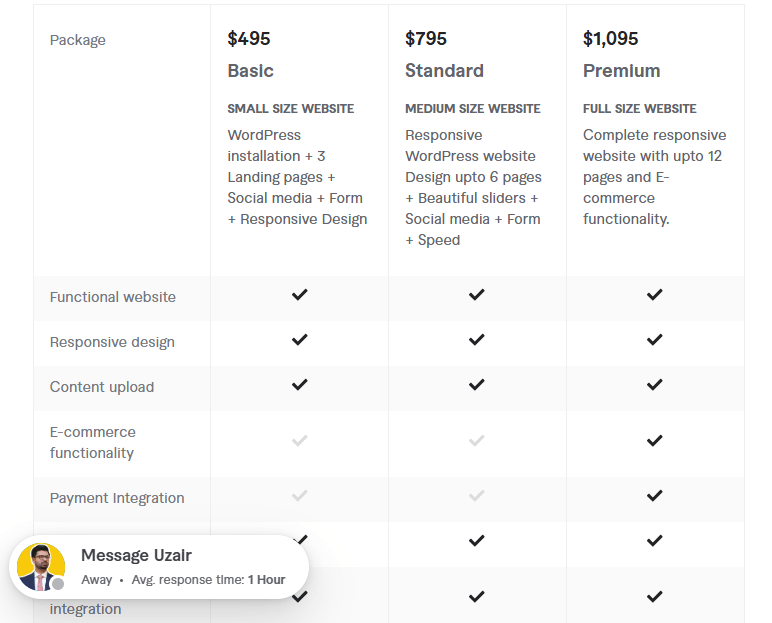 responsive wordpress website design pricing