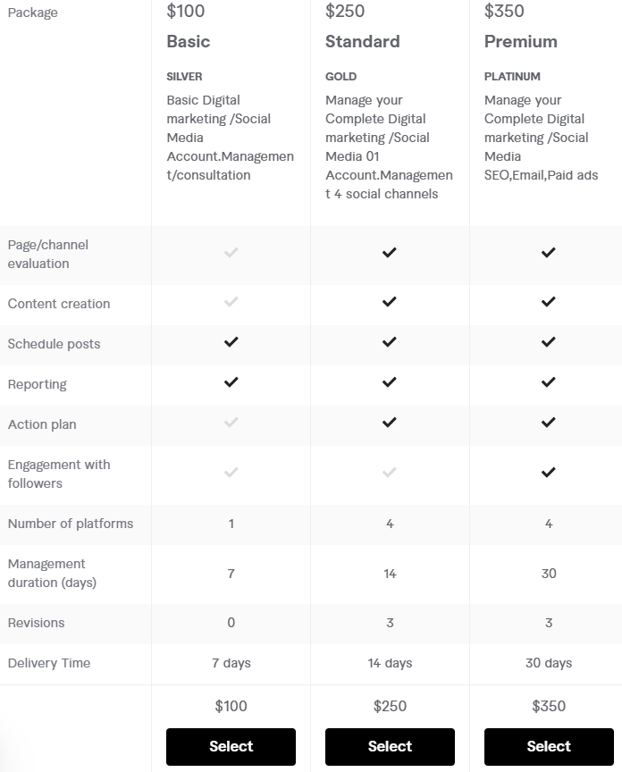 pricing of hire Digital Marketing Consultant