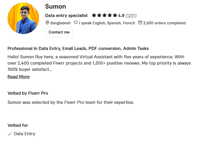 Nupur – Best Overall for Excel Data Entry & Data Analysis